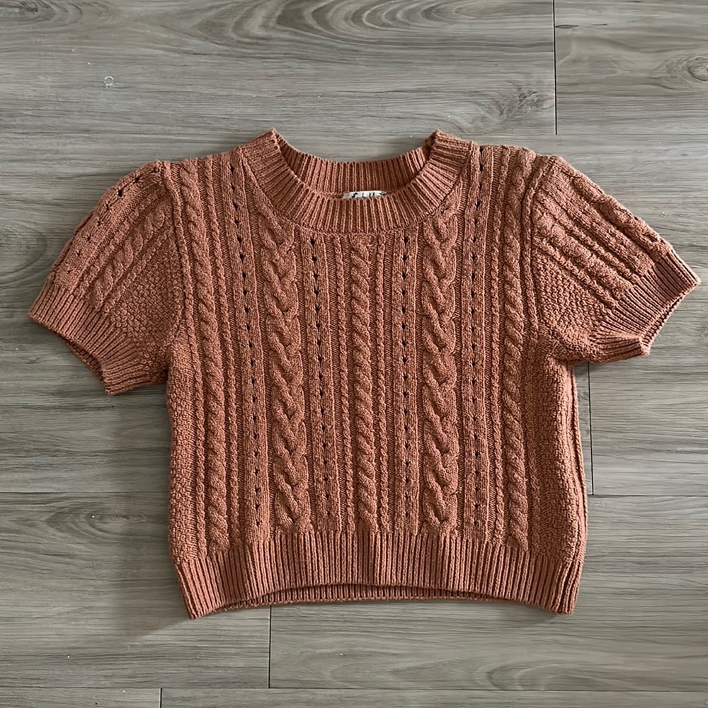 Free People Cropped Sweater